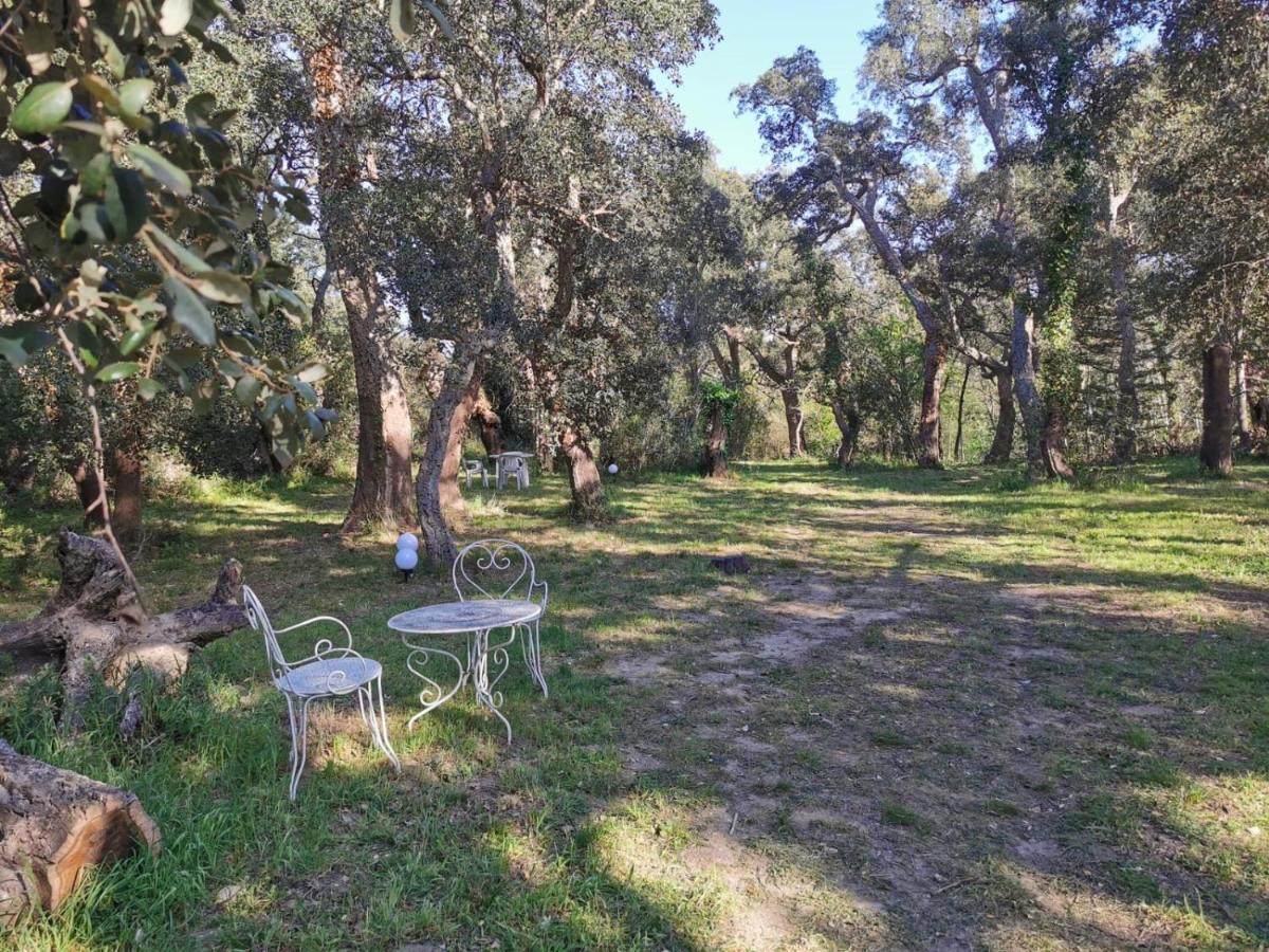 Les Pierres De La Massane - Vue Sur Les Alberes Apartman Argelès-sur-Mer Kültér fotó
