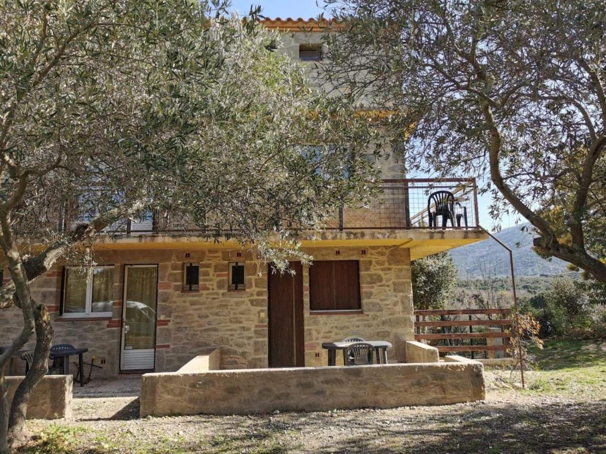 Les Pierres De La Massane - Vue Sur Les Alberes Apartman Argelès-sur-Mer Kültér fotó