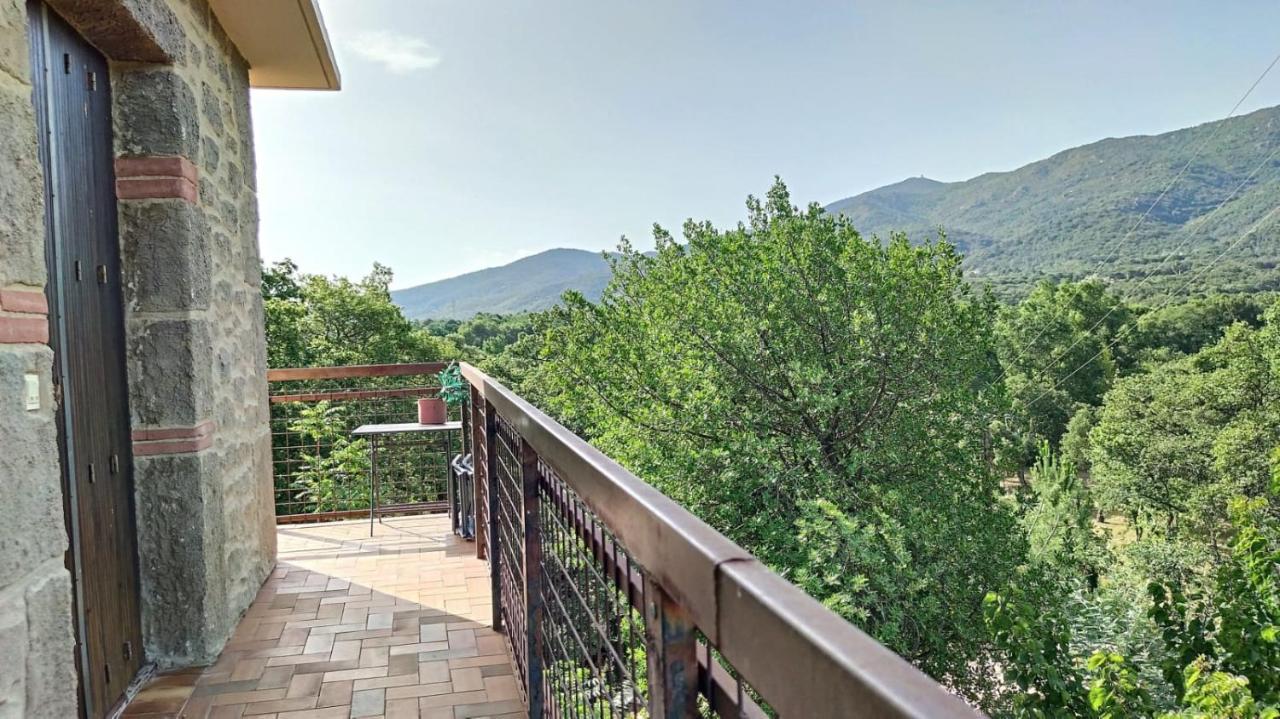 Les Pierres De La Massane - Vue Sur Les Alberes Apartman Argelès-sur-Mer Kültér fotó