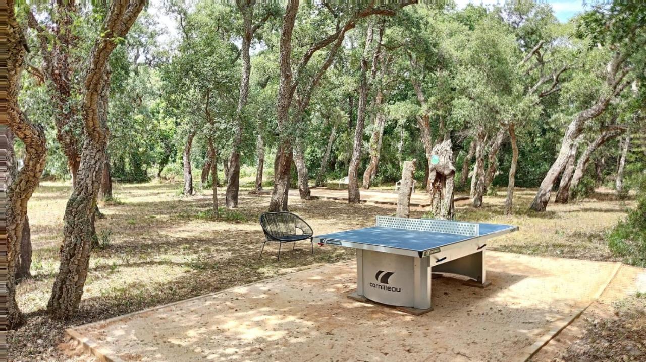 Les Pierres De La Massane - Vue Sur Les Alberes Apartman Argelès-sur-Mer Kültér fotó