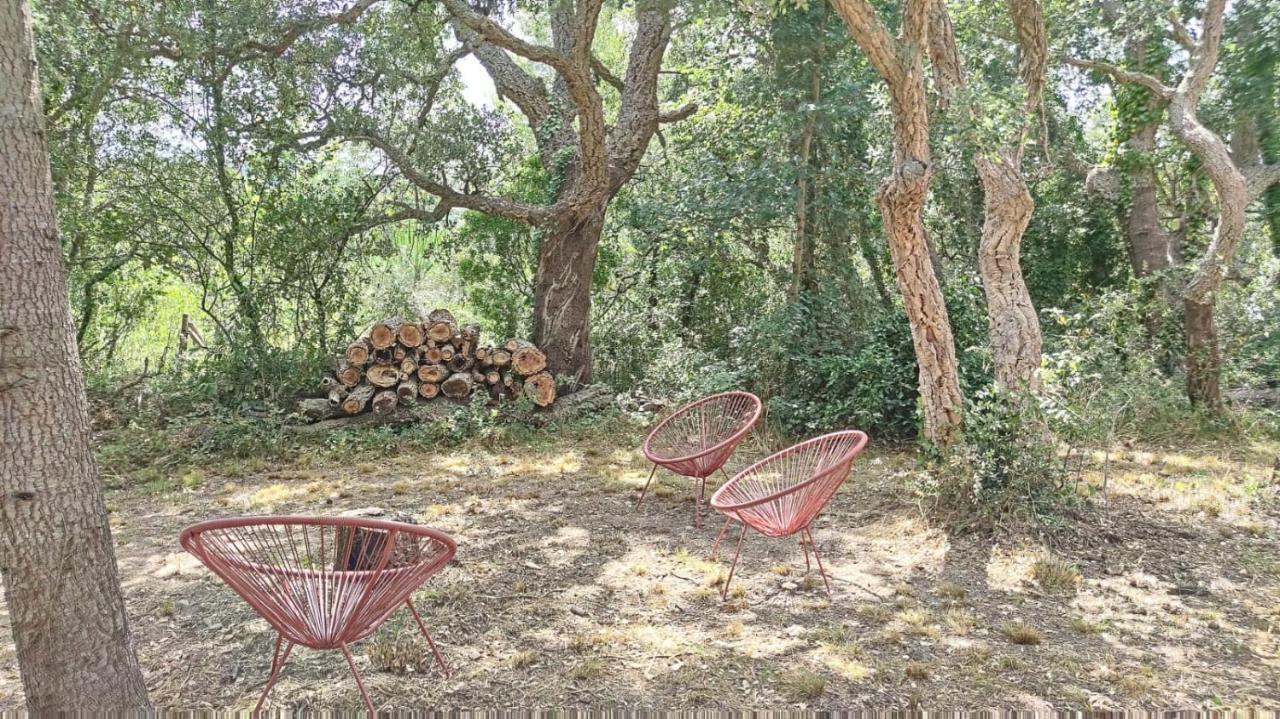 Les Pierres De La Massane - Vue Sur Les Alberes Apartman Argelès-sur-Mer Kültér fotó