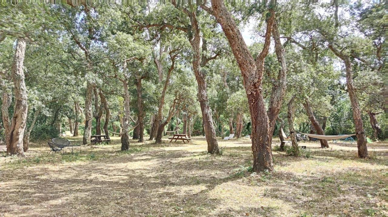 Les Pierres De La Massane - Vue Sur Les Alberes Apartman Argelès-sur-Mer Kültér fotó